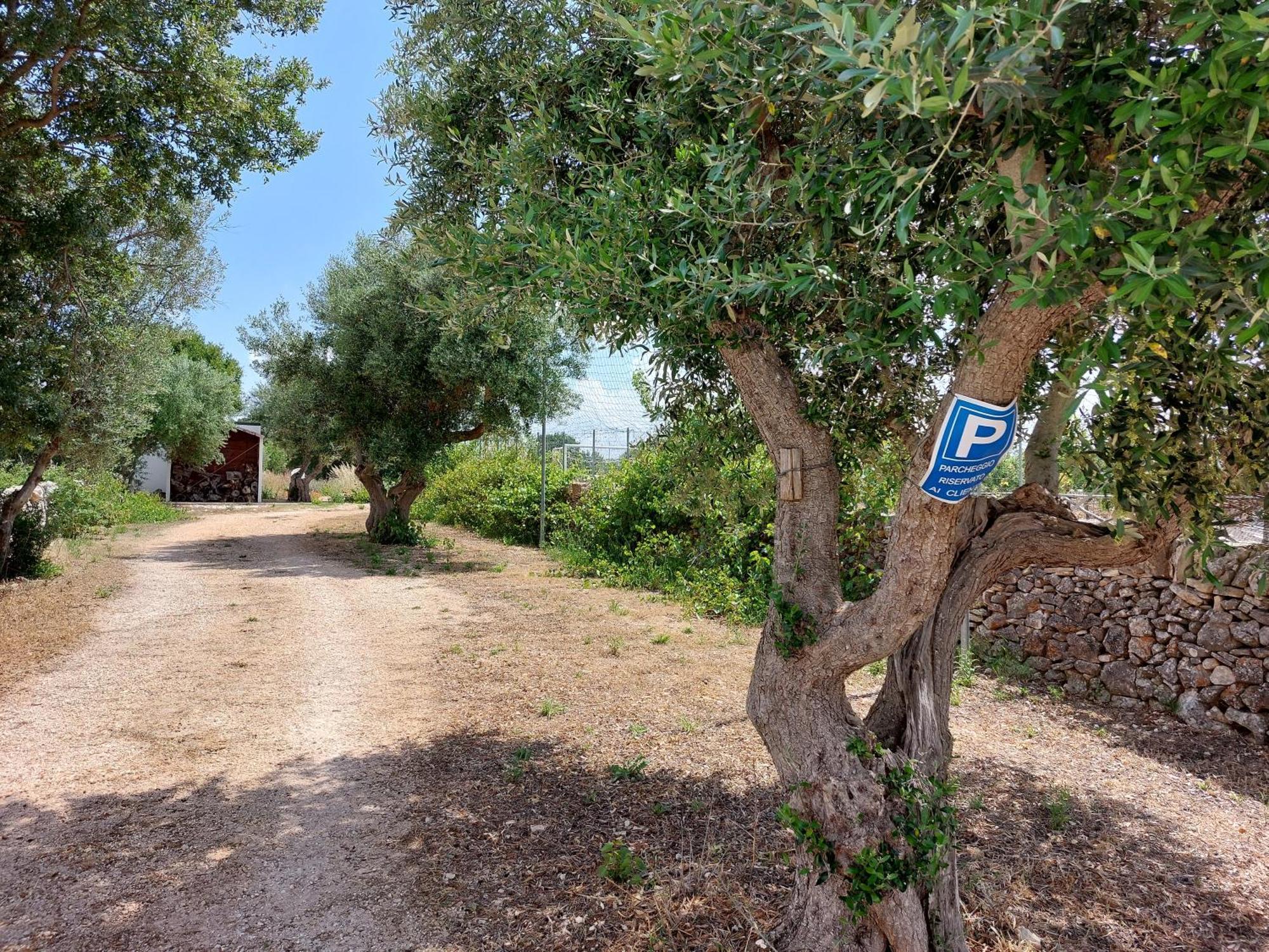 Trulli Don Diego Bed & Breakfast Noci Ngoại thất bức ảnh