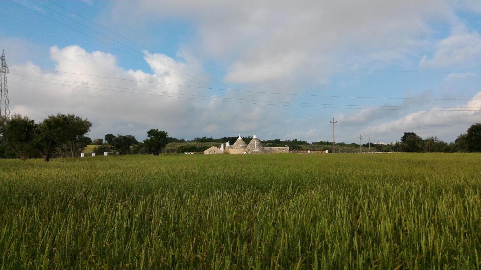 Trulli Don Diego Bed & Breakfast Noci Ngoại thất bức ảnh